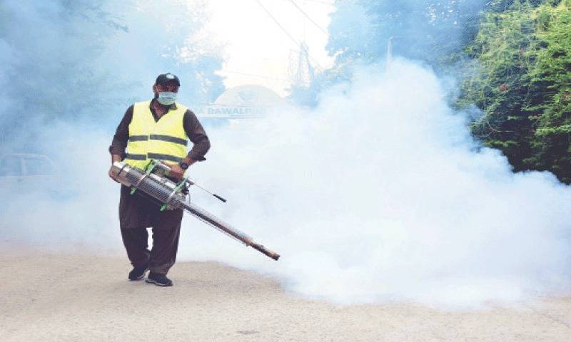 Islamabad moves to regularise 580 dengue workers