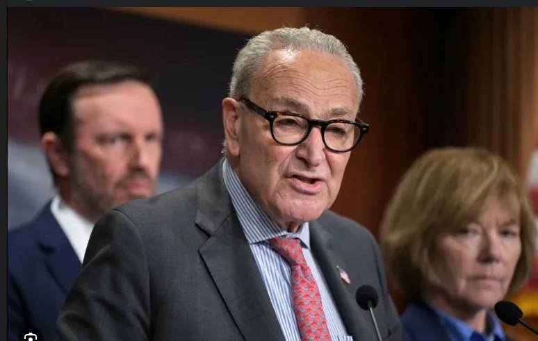 US Democrats say will introduce bill to protect free speech