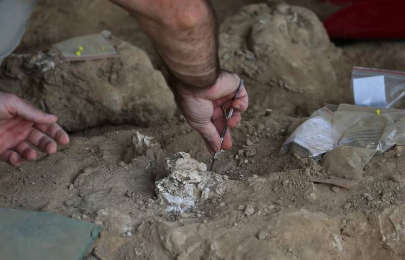 Archaeologists discover 1.8 million-year-old human jawbone in Georgia
