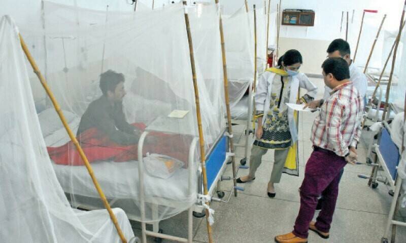 Govt issues surveillance report about dengue in Islamabad