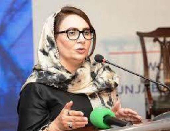 Rulers cannot exclude Imran Khan from politics, says Mussarat Jamshed Cheema