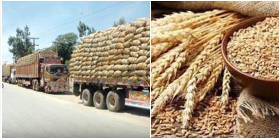 Punjab govt imposes ban on inter-district wheat transport