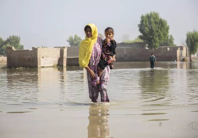 PDMA demands Rs2b more funds for flood rehabilitation