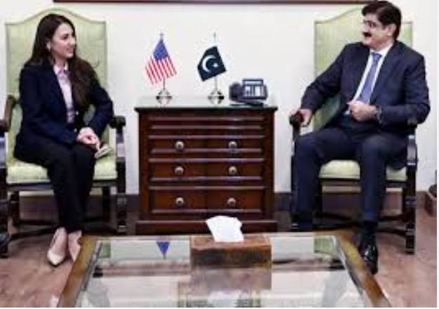 Sindh CM Murad vows to start work on restoration of Keti Bandar project 