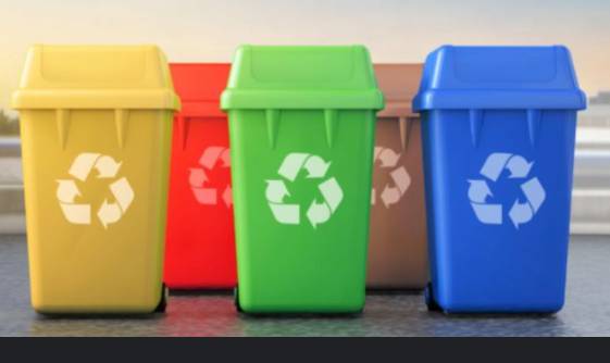 Six different coloured dustbins made mandatory for all Punjab schools