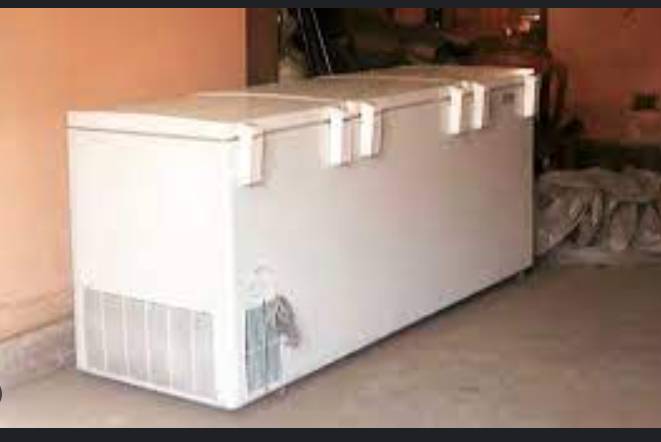 Japan arrests woman for keeping daughter's body in freezer for 20 years