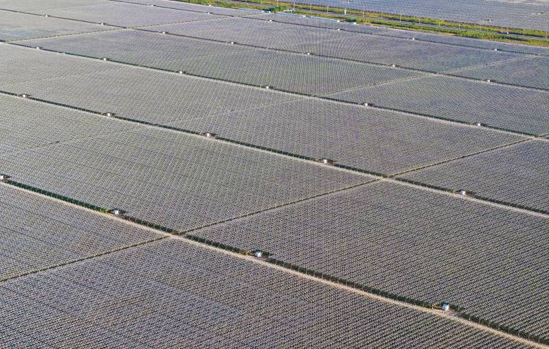 Glimmering sea of solar as China expands desert installation