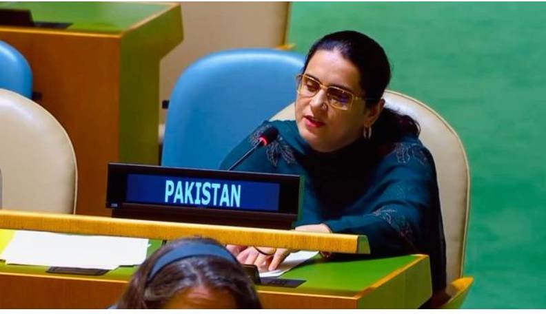 Pakistan nips India in bud over terrorism allegations