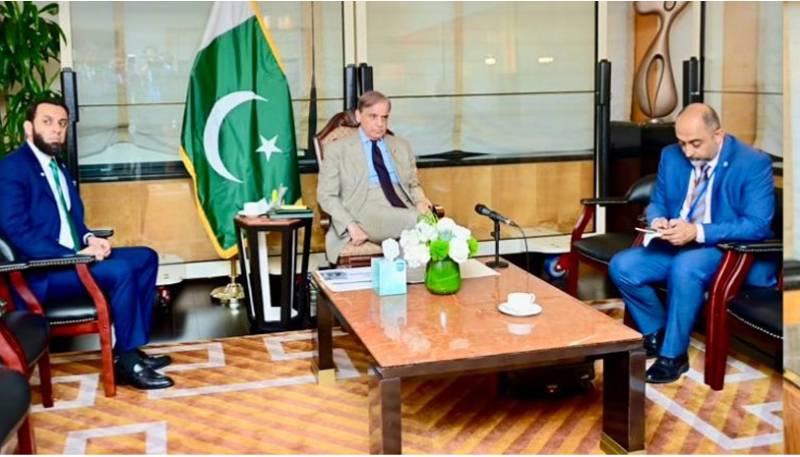 PM Shehbaz orders swift damage assessment in flood-hit areas