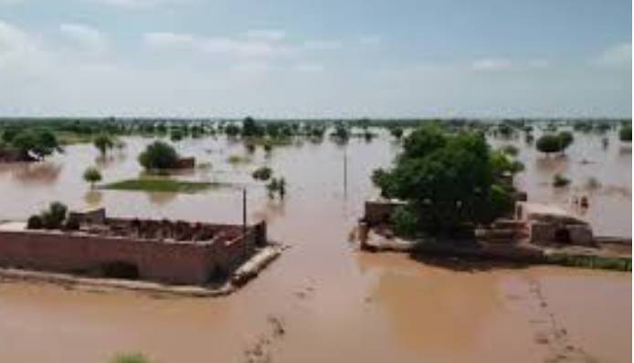 Kisan Board urges govt declare flood-hit areas as calamity-hit areas 