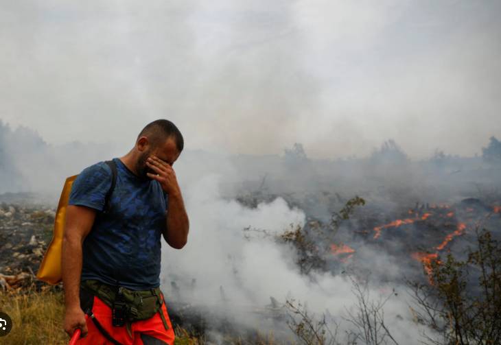 Europe must step up efforts to protect environment: report