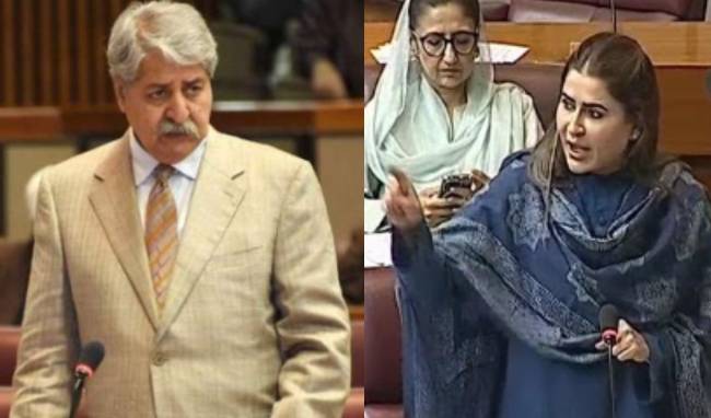 PPP walks out of NA against Maryam Nawaz's fiery remarks