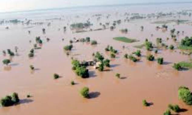 Survey launched across Punjab to assess losses from floods