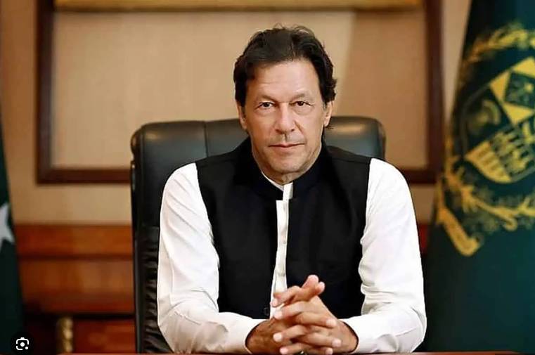 Hamid Khan, Ali Zafar appointed as coordinators by Imran Khan