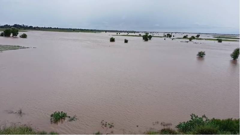 PDMA warns of heavy rains, more floods in Punjab next week