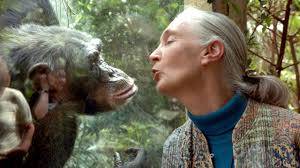 Renowned British chimpanzee expert Jane Goodall dies at 91