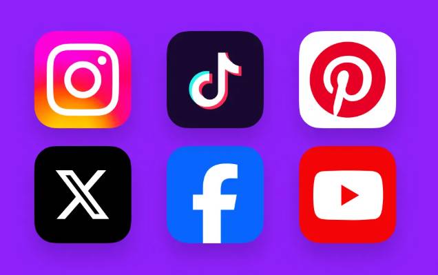 Punjab govt bans use of social media by its employees 