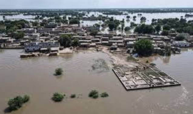 Details of 81,510 flood victims collected in Punjab: PDMA  