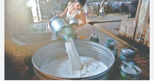 Karachi milkmen to sell milk at Rs 300 per liter from Oct 11