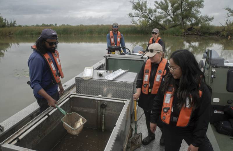 Americans, Canadians unite in battling 'eating machine' carp