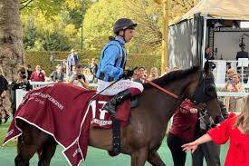 Asfoora makes Australian racing history in France