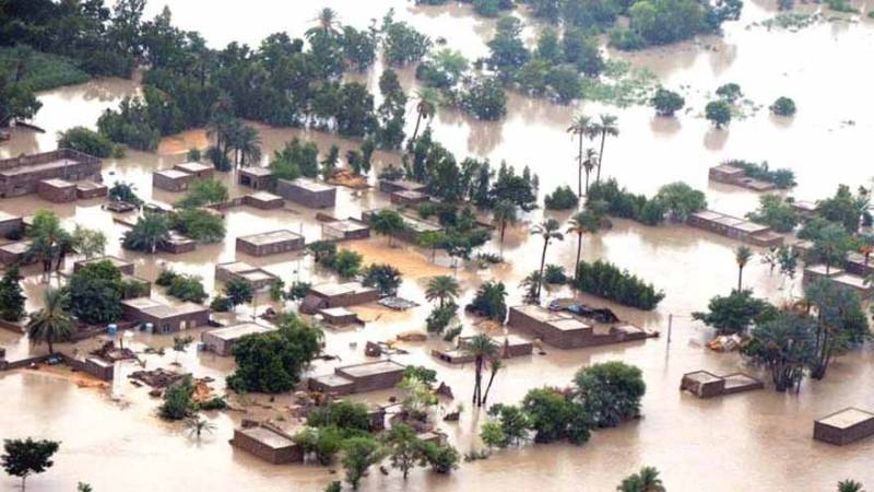 Floods damage over 229,000 homes, kill 22,841 livestock: NDMA