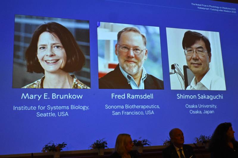 US-Japanese trio win medicine Nobel for immune system research
