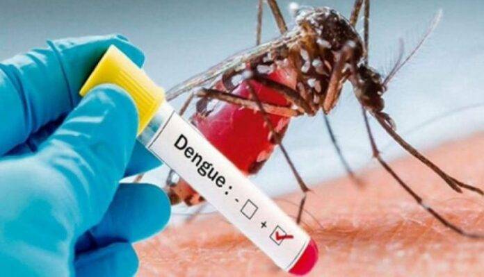 Dengue cases surge in Multan following heavy rainfall