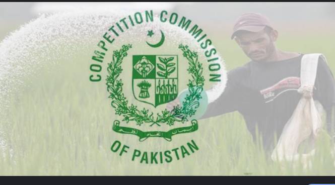 CCP launches probe against real estate developers for false marketing