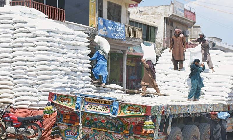 PSMA writes to Finance Minister over closure of FBR’s S-Track portal