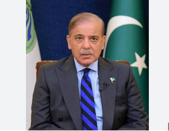 PM Shehbaz constitutes delegation to address tension between PML-N, PPP