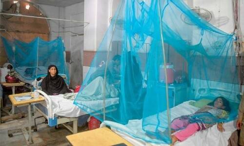 Dengue, malaria cases on the rise in Karachi once again