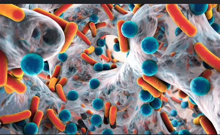 Spread of drug-resistant superbugs surging, WHO warns
