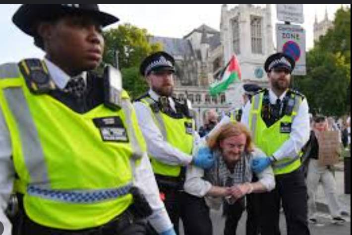 Council of Europe alarmed by 'large numbers' of UK arrests over Palestine Action