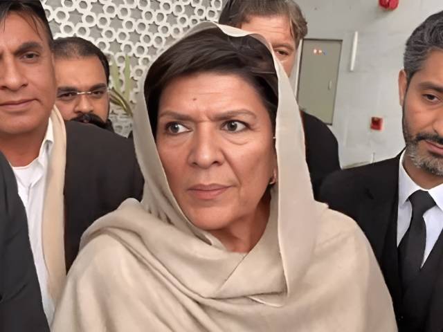 Imran Khan can resolve Afghanistan issue if released on parole: Aleema Khan