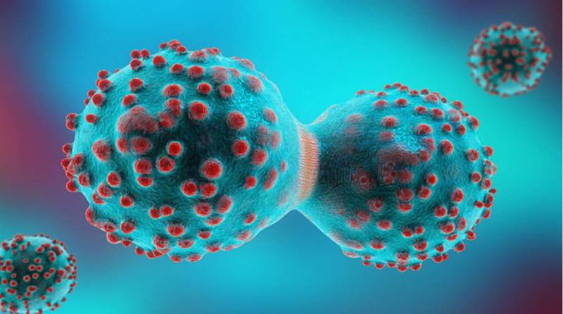 PMA Lahore warns against misleading claims about new cancer treatment “Co-ablation”