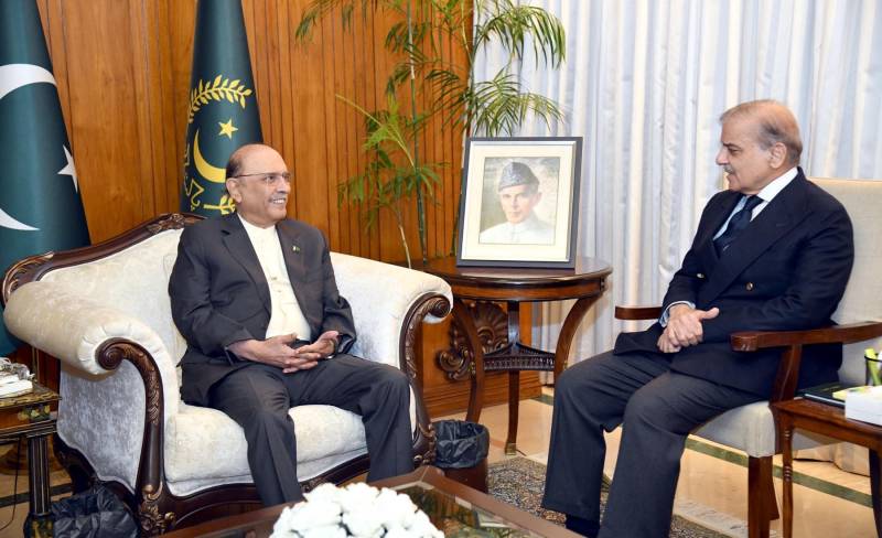 Zardari, Shehbaz discuss national political, security situation