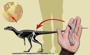One of world's oldest dinosaurs discovered in Argentina