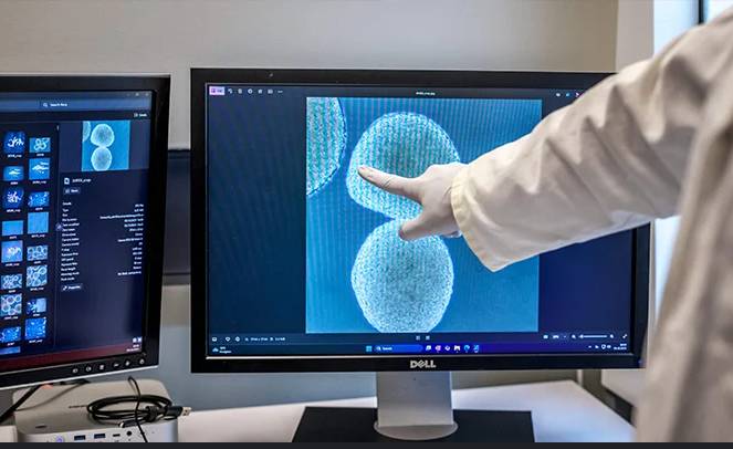 Scientists use human mini-brains to power computers
