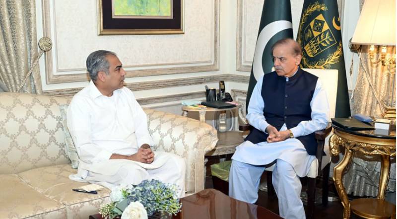 Interior minister Mohsin Naqvi briefs PM on country's law and order situation