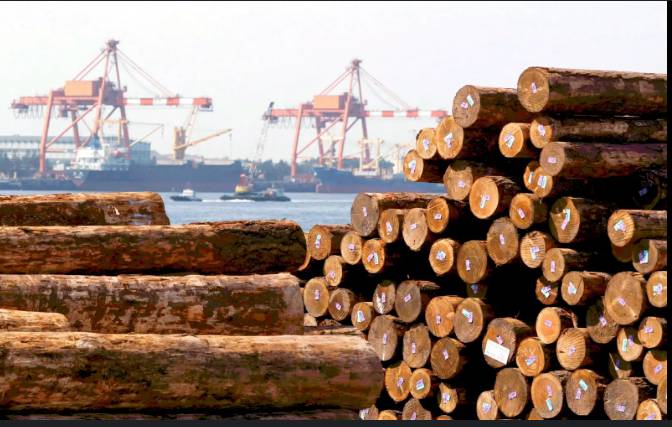 EU timber imports linked to deforestation on Indonesia's Borneo: NGOs