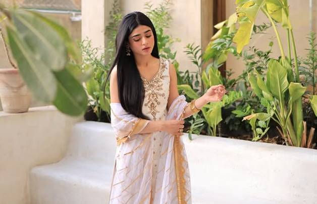 Sehar Khan’s Gen Z-style caption compared with Meera G’s English