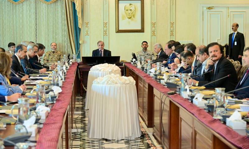 Federal cabinet approves Punjab govt's request for ban on TLP