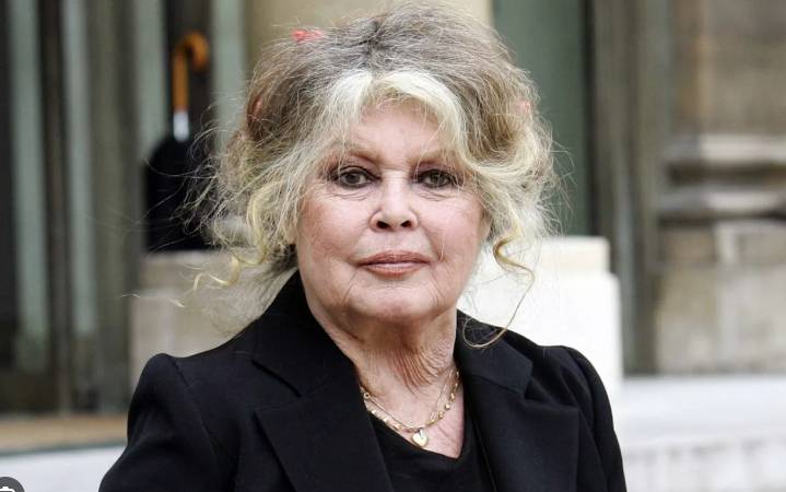 French film star Bardot plays down health fears