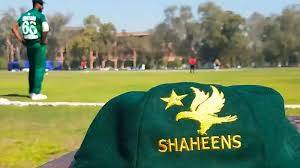 Pakistan Shaheens to take on England Lions in white-ball series in February 2026