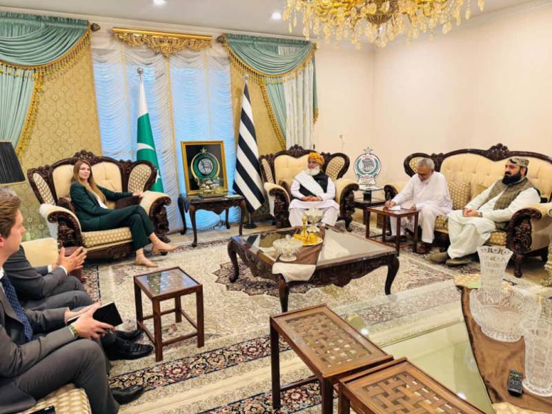 British High Commissioner meets JUI chief Maulana Fazlur Rehman in Islamabad