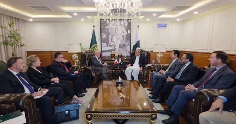 Polish Deputy Interior Minister discusses illegal immigration, border security issues with Naqvi