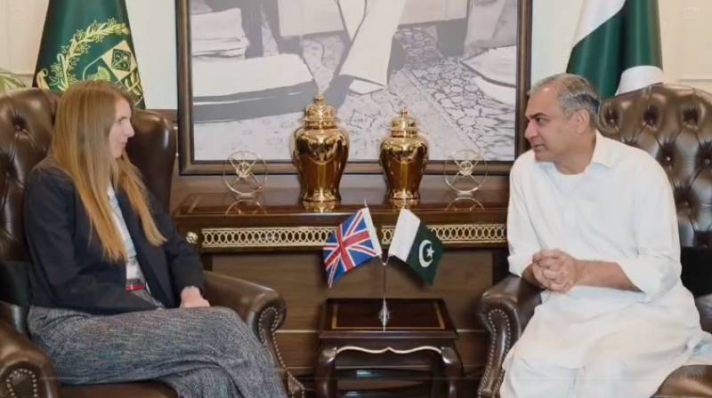 Interior Minister Mohsin Naqvi meets British HC, acting US ambassador