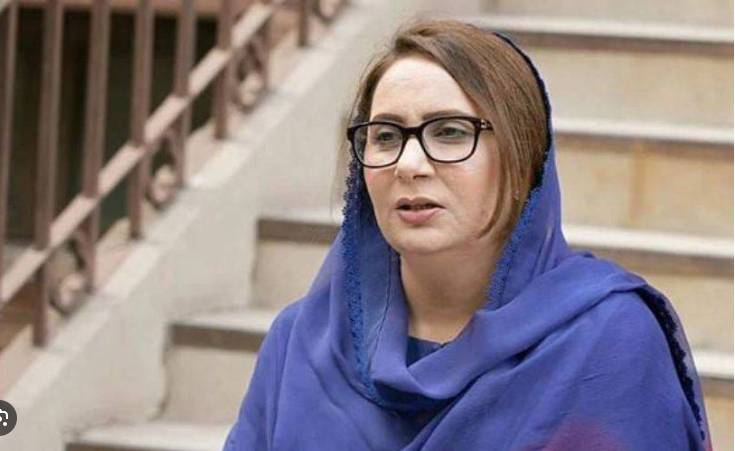 Musarrat Cheema urges govt to reduce prices of vegetables and commodities
