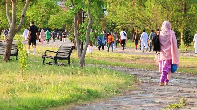 Walking is simplest and most effective way to stay fit and boost heart health: Experts